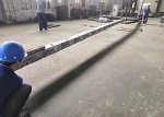 ダミーバー共用体
